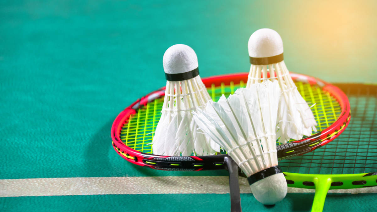 他们在转会 他们在转会